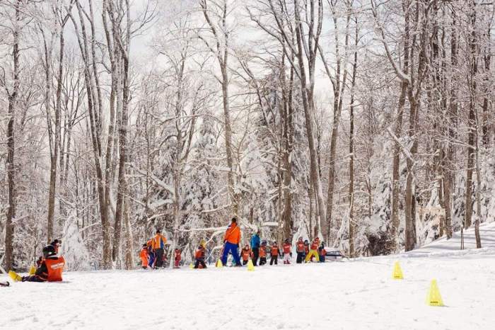 FB_IMG_1521066867640