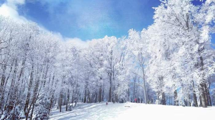 FB_IMG_1521067055774