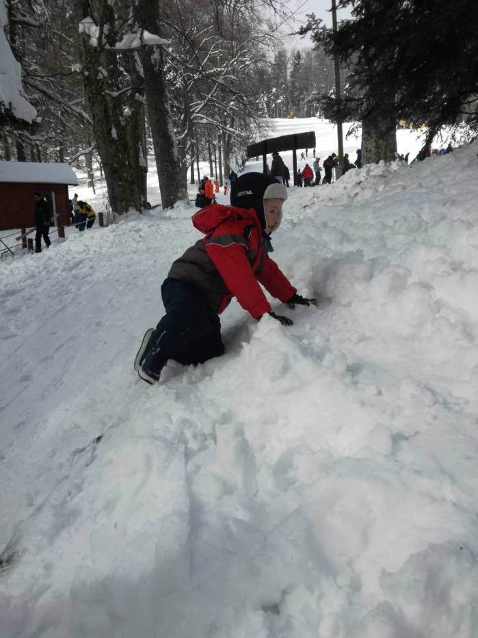 IMG-0c397e55b9a93881b3665b8927b11254-V