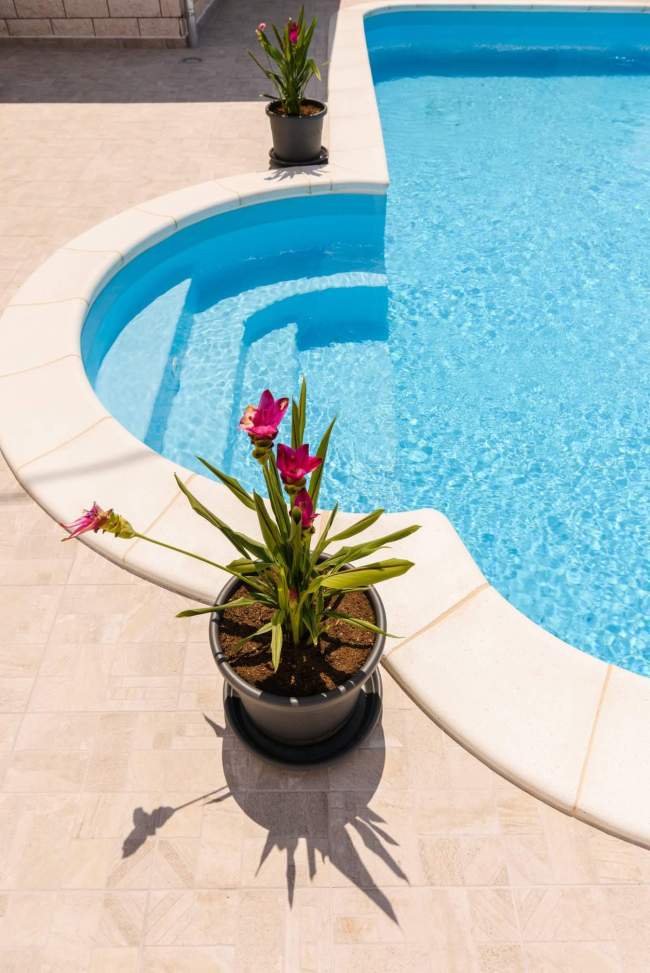 FB_IMG_1537813299770